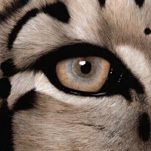 ChinesePornHDVideos360水滴
